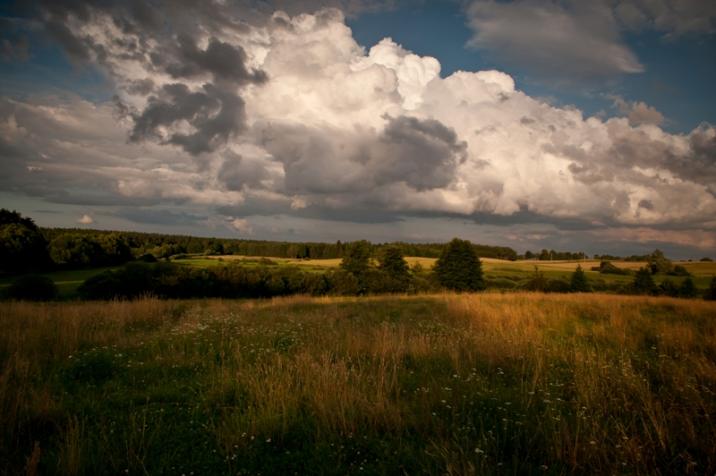 foto. Zbigniew Trzebiatowski